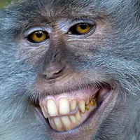 original sound - tafelhoek