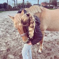 equi.na88m