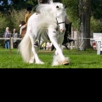 katie_otis12