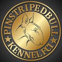 pinstripedbull