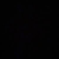 TikTok Creator - vexeneo