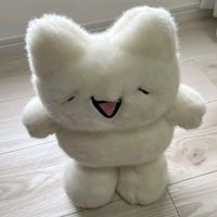 kiwushii