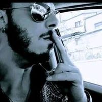 blachsparrowhawkpalermo