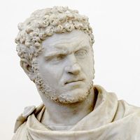 original sound - plebeius.lucidum