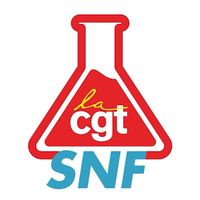 cgt.snf