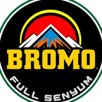 bromo299k