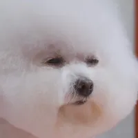 original sound - brandki10zz1