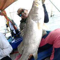 original sound - strikeangler