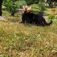 noemie.picque