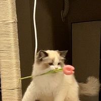 phunbbbb