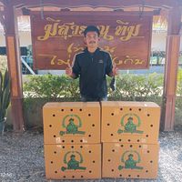 bankpang192