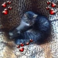 christine.foidl3