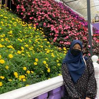 original sound - Itsmika