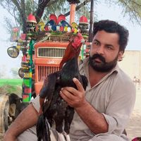 imtiazkhanpk