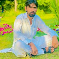 haleempashtun