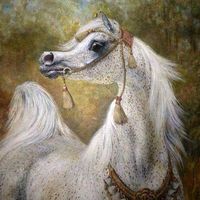 emansarhad6