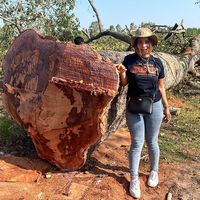 jajafurnitetdansingkhon