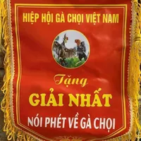 original sound - huyenhungha
