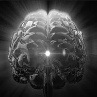 original sound - farm.story