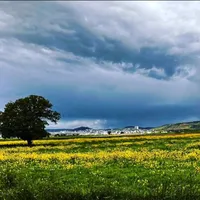 original sound - ciro_grnd