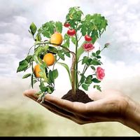 pakistannersryfarm01