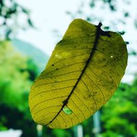 original sound - இயற்கையின் 🥀🥀ரசிகன் 💙💫💛🌻