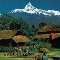 aakashghimire321