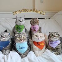 เสียงต้นฉบับ - พี่เจ๋งน้องเตี๋ยวไม่ตีกันสิลูก