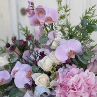 verdetierrafloristeria