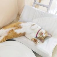 original sound - Jace CG