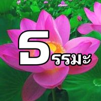 thamma.thai