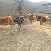 πρωτότυπος ήχος