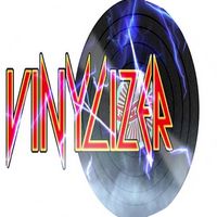 vinylizer2