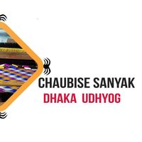 chaubisesanyakdhaka1