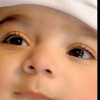 zulfi7011