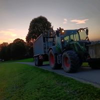 hansi_2314