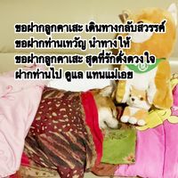 เสียงต้นฉบับ - แม่น้อนคาเสะค่ะ