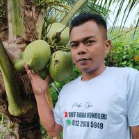 suara asli - BIBIT TANAMAN BUAH🔵