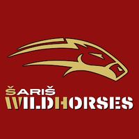saris_wildhorses