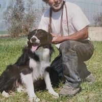 giovanni.mameli89