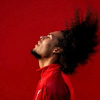 vvd_.4