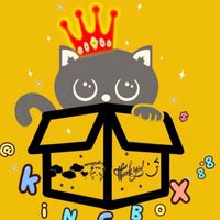kingbox88_