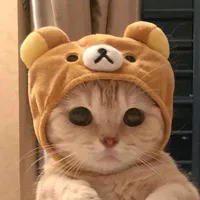 original sound - istree01