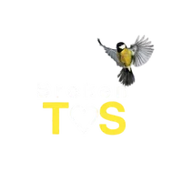 original sound - tariq_shah04