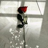 original sound - manoaestic