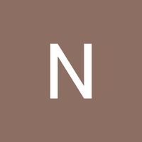 niculai.andronic