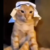 original sound - penjahatmeme