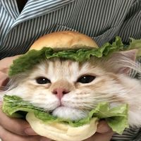 เสียงต้นฉบับ - nonthakan🔥