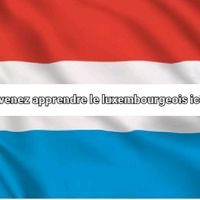 learnluxembourgtiktokfr