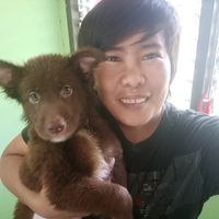 dingdong022